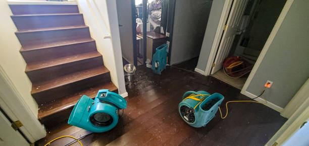 Best Sewage cleanup and water damage restoration  in Arnold, MO
