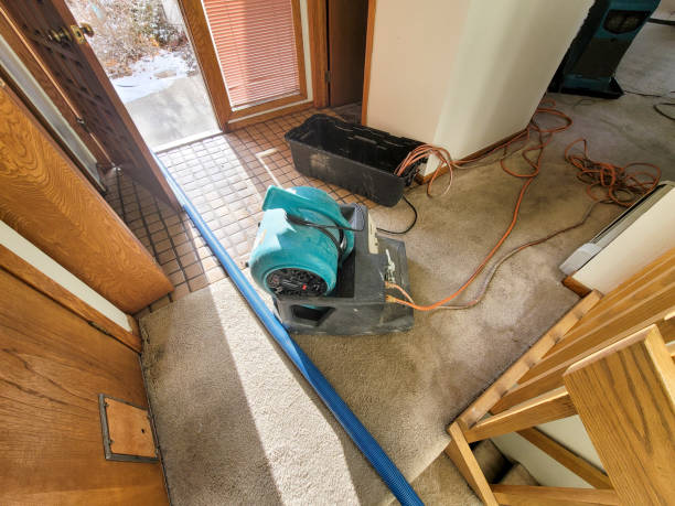 Best Water damage repair service  in Arnold, MO