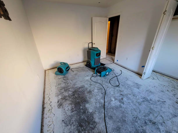 Best Water damage restoration services  in Arnold, MO