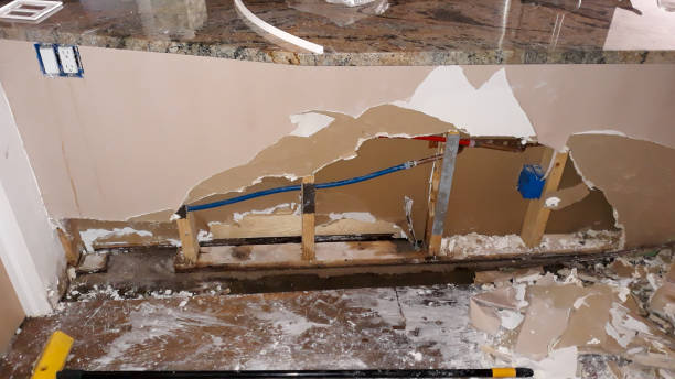 Best Professional water damage repair  in Arnold, MO