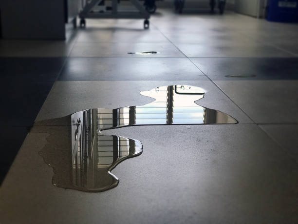 Best Water damage restoration near me  in Arnold, MO